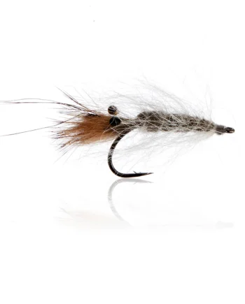 Aura Rejen Grey  Kystflue