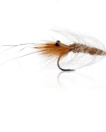 Aura Rejen Tan  Kystflue