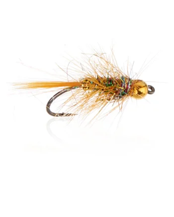 Bette Brenda Kystflue