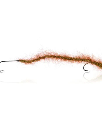 Børsteorm Brown Olive Kystflue