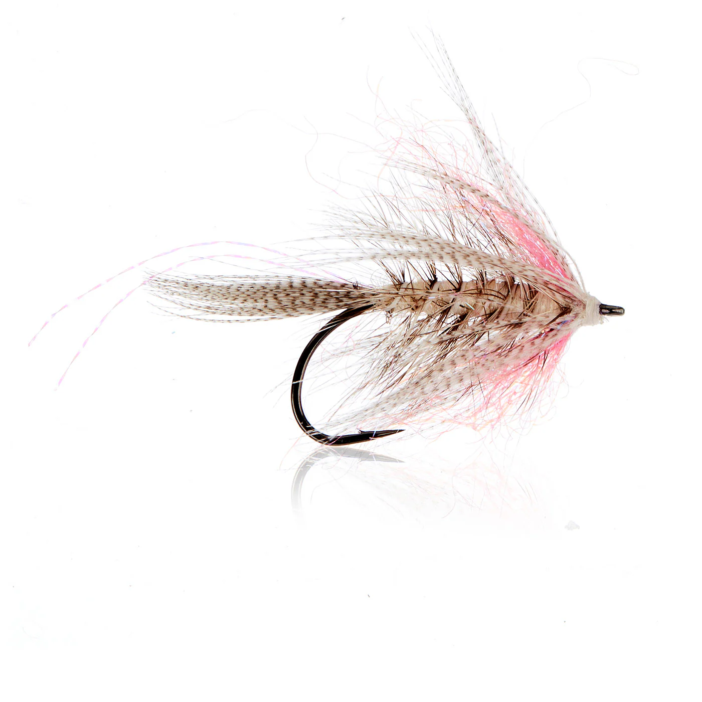 Kelly Kystflue