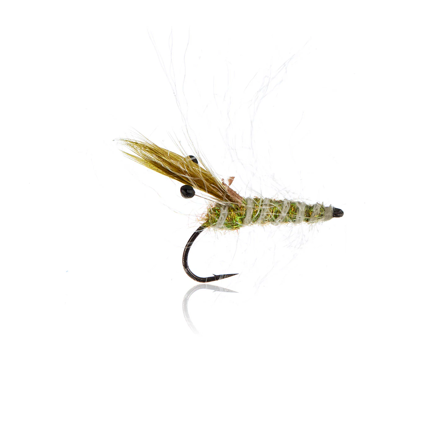 Panic Shrimp Olive Kystflue