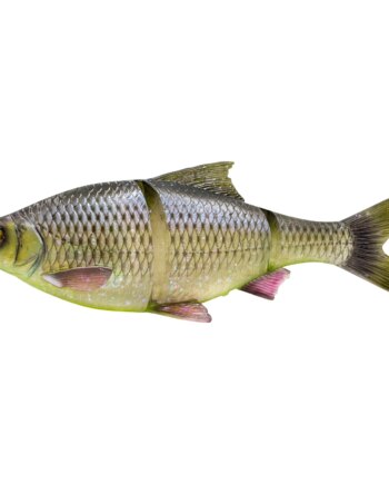 Savage Gear 3d Lt Roach Clear Rudd 216 Gram 25cm