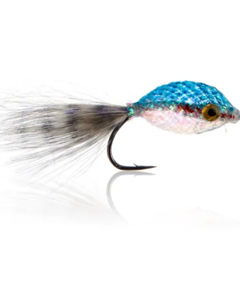 Twinkle Tube Fish Blue  Kystflue