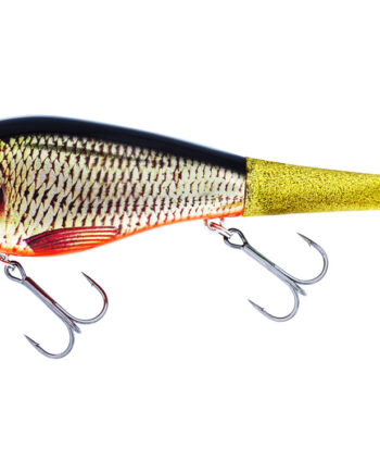 Westin Swim Tail 62g Real Rudd