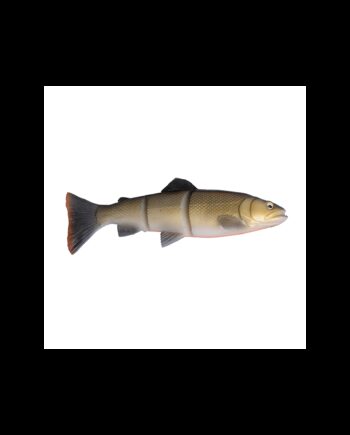 Savage Gear 3d Line Thru Trout 20cm 98gr Roach Softbait