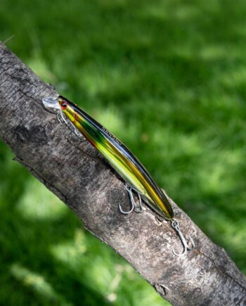 Senshu Zander Buddy Wobler 12 5cm 20gr Ayu Wobler
