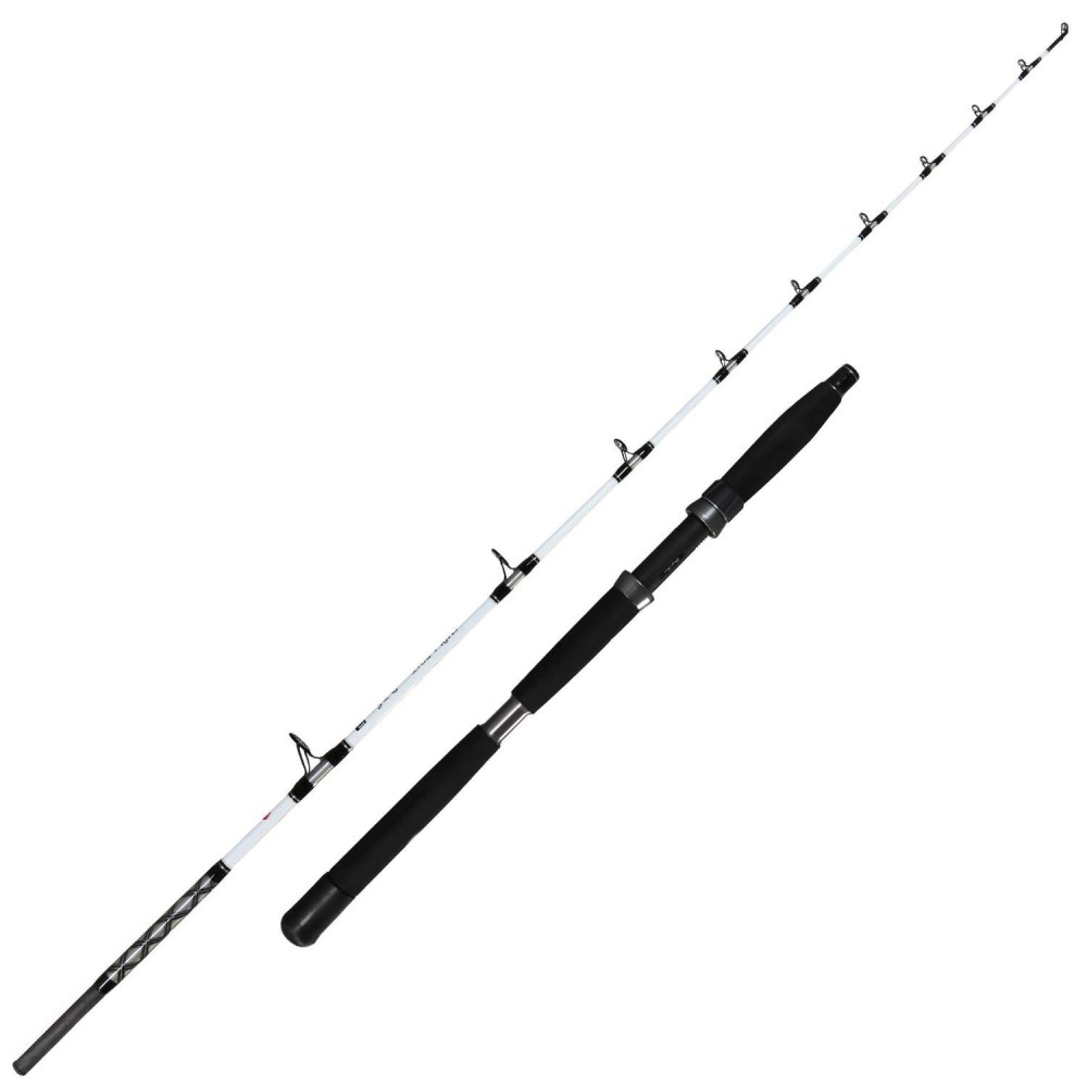 Team Deep Sea Beachbeast Surf 14 100-250gr Pirkestang
