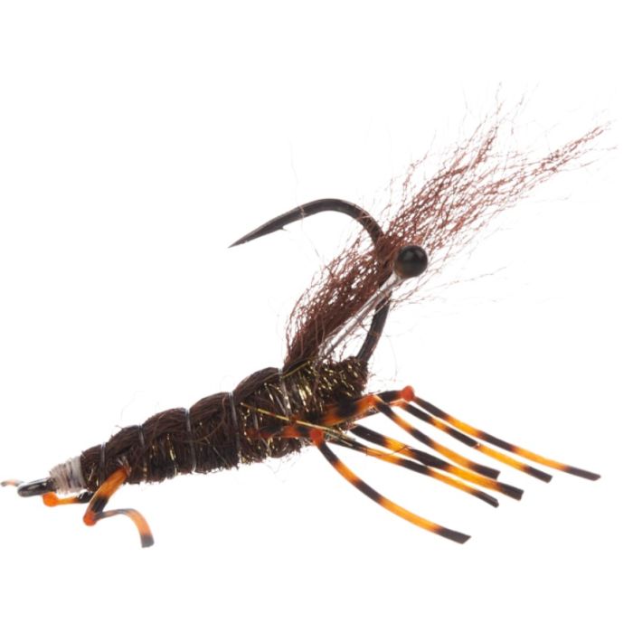 Jensen Honey Shrimp Dark