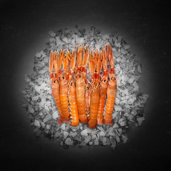 Danske Jomfruhummere  Frost