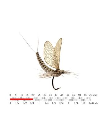 :on Mayfly Dun   Olive Grey  12