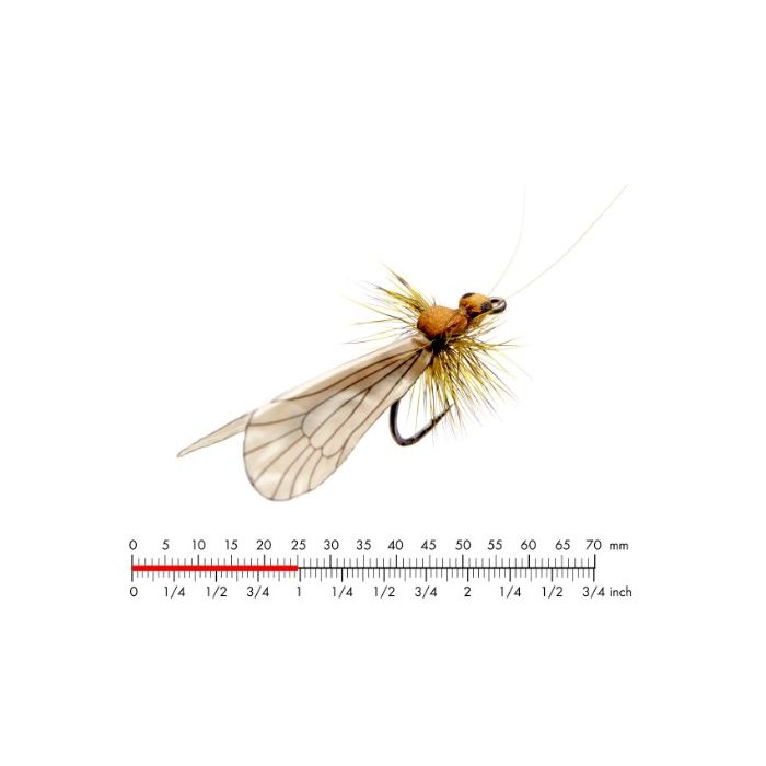 :on Caddis Adult Cinnamon Brown 12