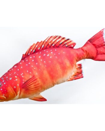 Gaby Coral Trout Pude