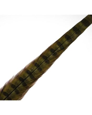 Wapsi Ringneck Tail Feathers Olive Pair