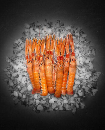 Danske Jomfruhummere  Frost