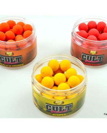 Dt Bait Cult Classic Pop Ups