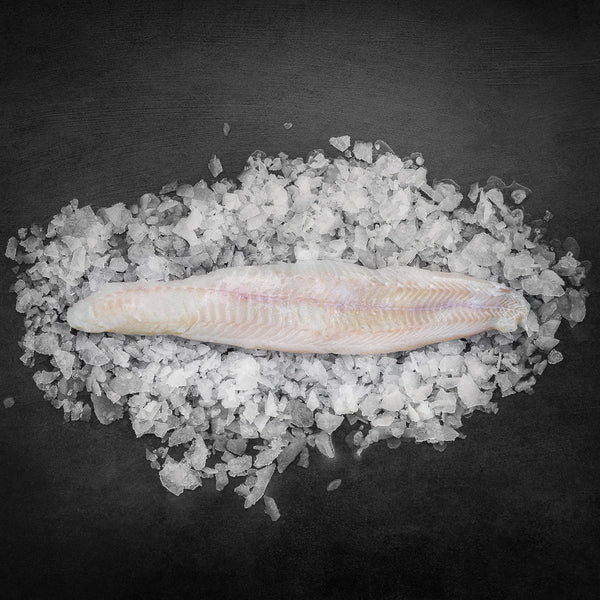 Nyhed: Blålangefilet