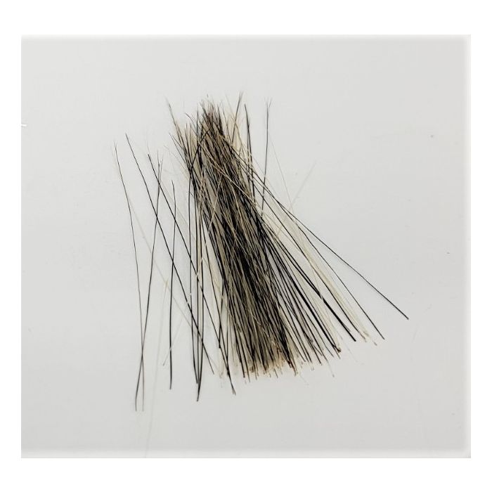 Veniard Boar Bristles Natural