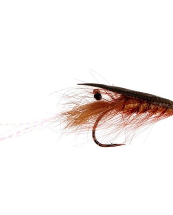Jensen Agerskov Mallard Shrimp Original