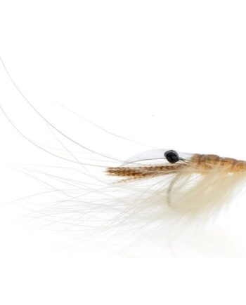 Jensen Crangon Shrimp Cream