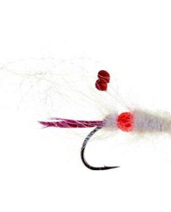 Jensen Hot Spot Shrimp Pink