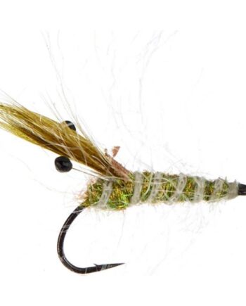Jensen Panic Shrimp Olive