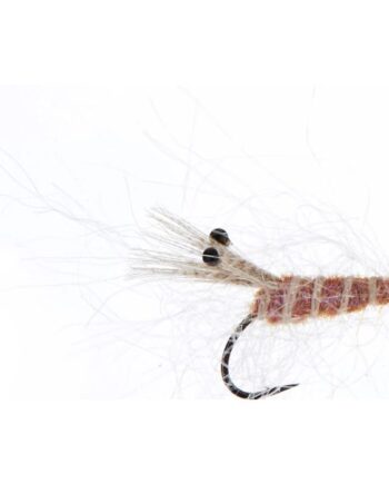 Jensen Panic Shrimp Tan