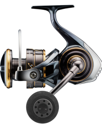 Daiwa Caldia Sw