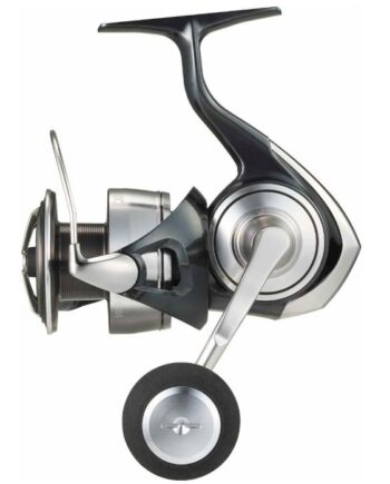Daiwa 24 Certate Sw