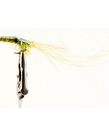 Dano Fly Super Reje Olive