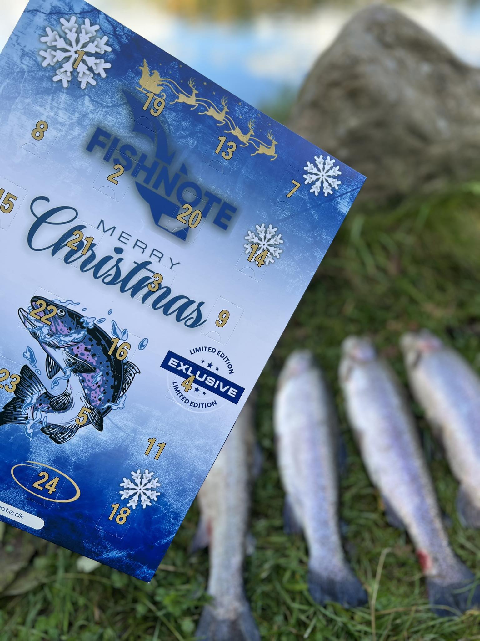 Fishnote Julekalender  Limited Edition  Kun 100 Stk