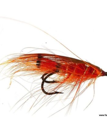 General Practitioner Double Hook Red