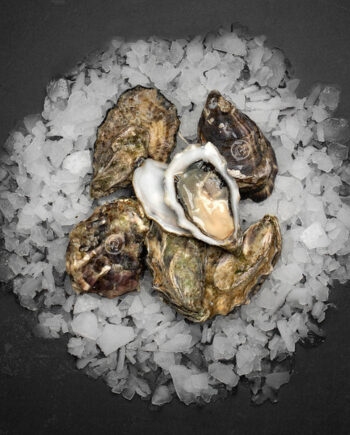 Gillardeau østers