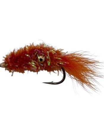 :on Cactus Shrimp Orange Str