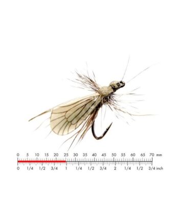 :on Caddis Adult   Ash Grey  12