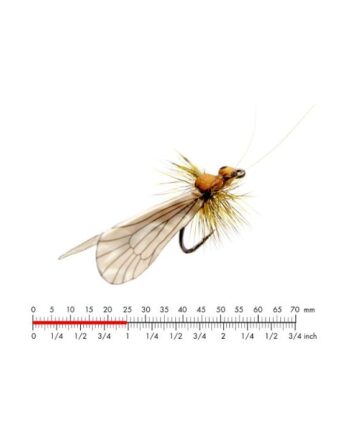 :on Caddis Adult   Cinnamon Brown  12