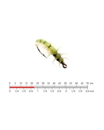 :on Caddis Larva   Green