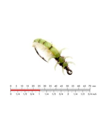:on Caddis Larva   Green