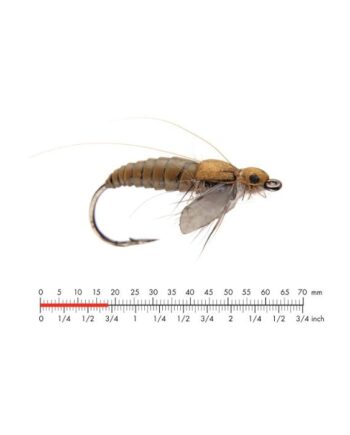 :on Caddis Pupa   Olive Brown  10