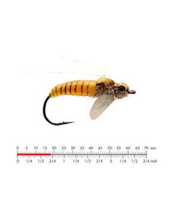 :on Caddis Pupa   Yellow  10