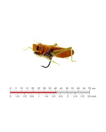 :on Hopper   Cinnamon Brown