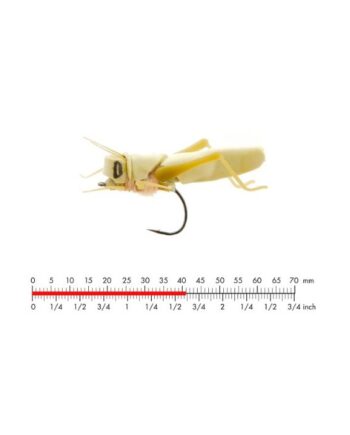 :on Hopper   Olive Green