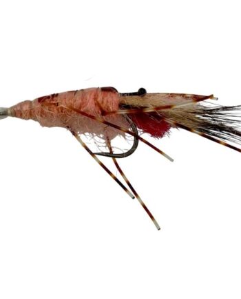 :on Leo Shrimp Pink Str