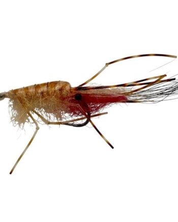 :on Leo Shrimp Tan Str