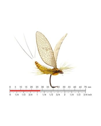 :on Mayfly Dun   Cinnamon Brown  10