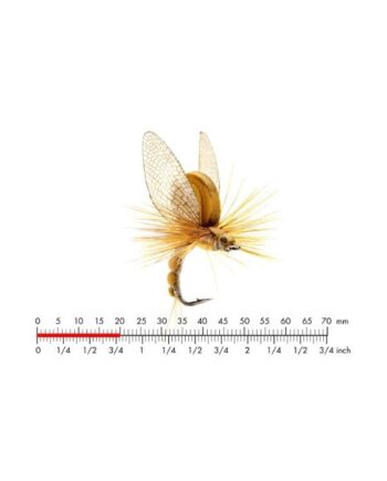 :on Mayfly Emerger   Olive Brown  10