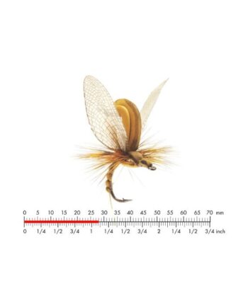 :on Mayfly Emerger   Olive Brown