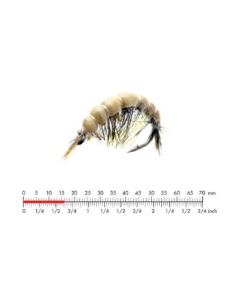 :on Scud   Light Olive  10