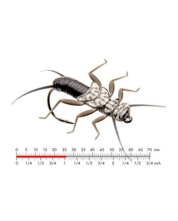 :on Stonefly Nymph   Black
