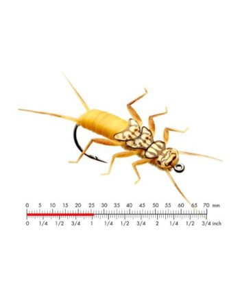 :on Stonefly Nymph   Gold